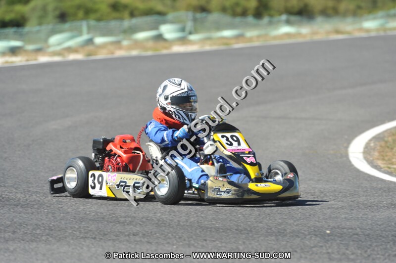 DSC (2794).JPG
